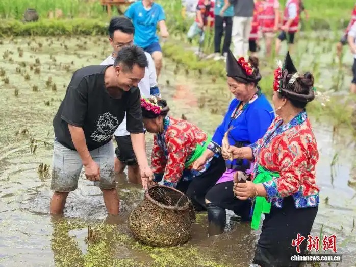 “广西库库鱼”区域公用品牌发布 好水好鱼促增收
