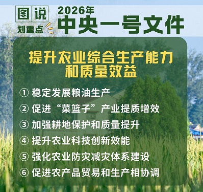 6图速览2026年中央一号文件